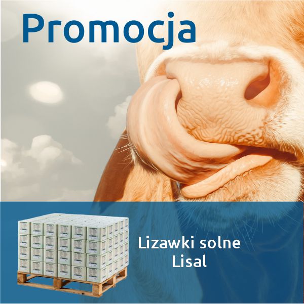 Promocja lizawki solne dla krów lisal