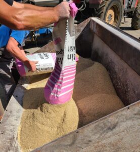 przygotowanie-suchego-tmru-odchow-cielat