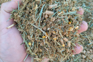 suchy-tmr-dla-cielat-odchow