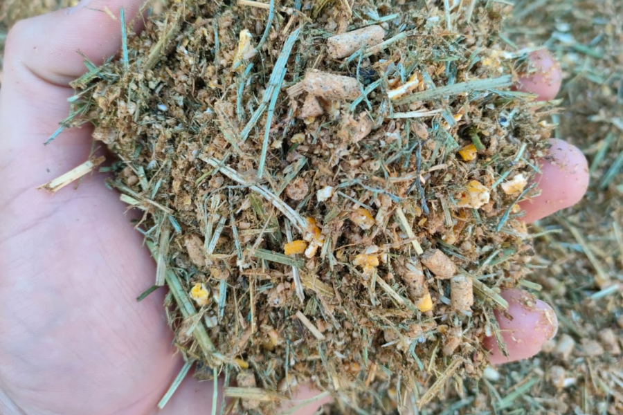 suchy-tmr-dla-cielat-odchow